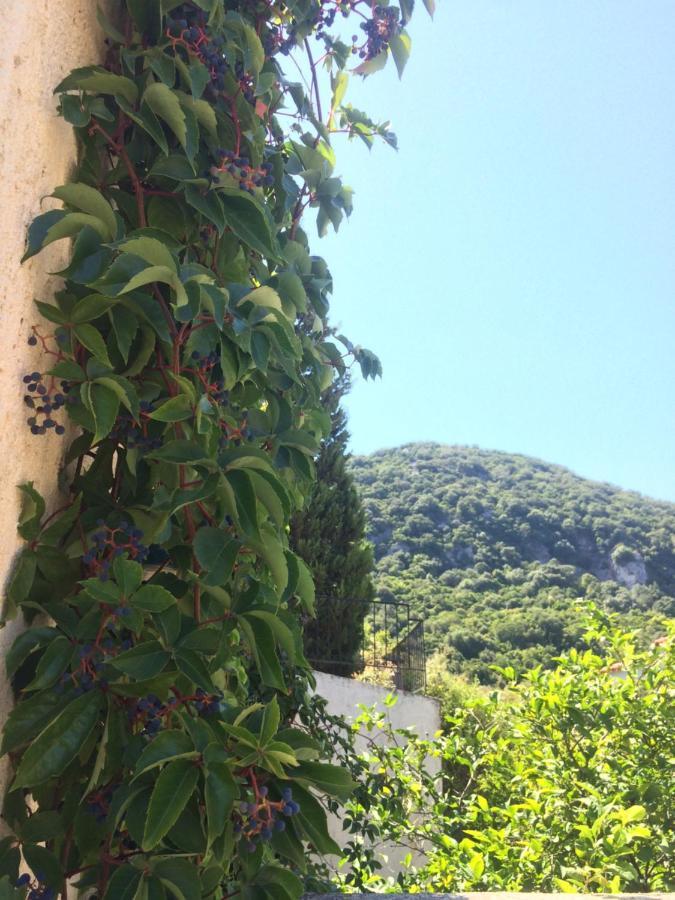 Giannatos' Studios - Makis Poros  Exterior photo