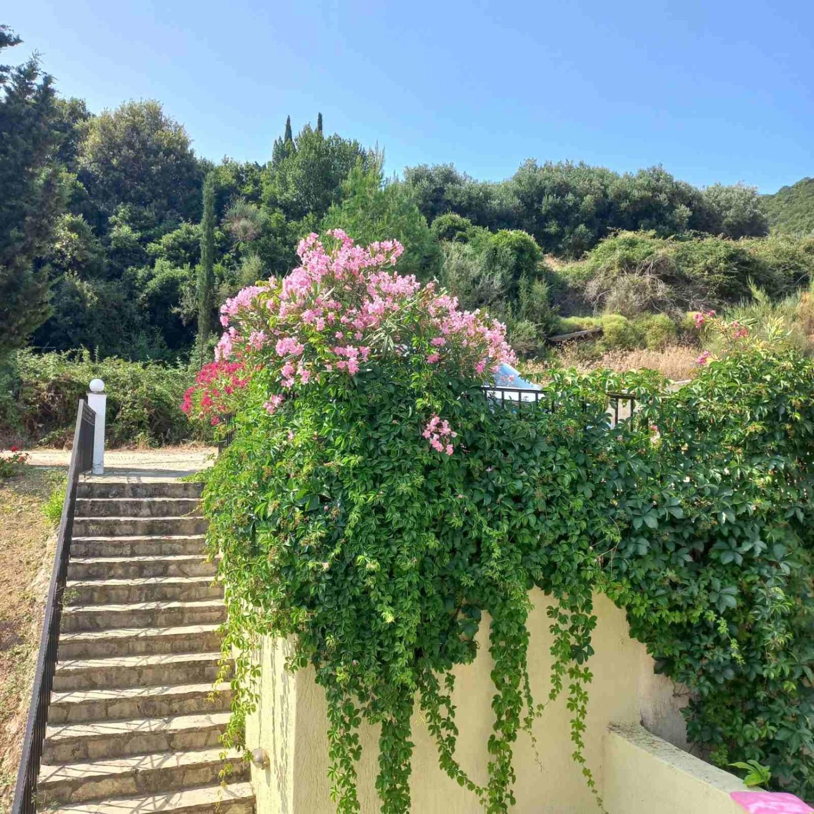 Giannatos' Studios - Makis Poros  Exterior photo